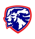Moore High School Football logo