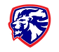 Moore High School Football logo